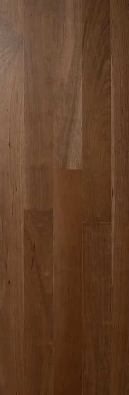 American Cherry