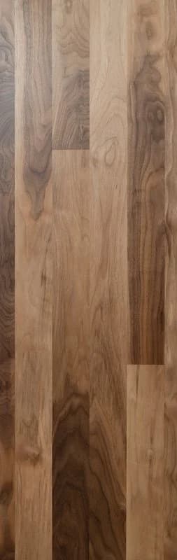 Black Walnut