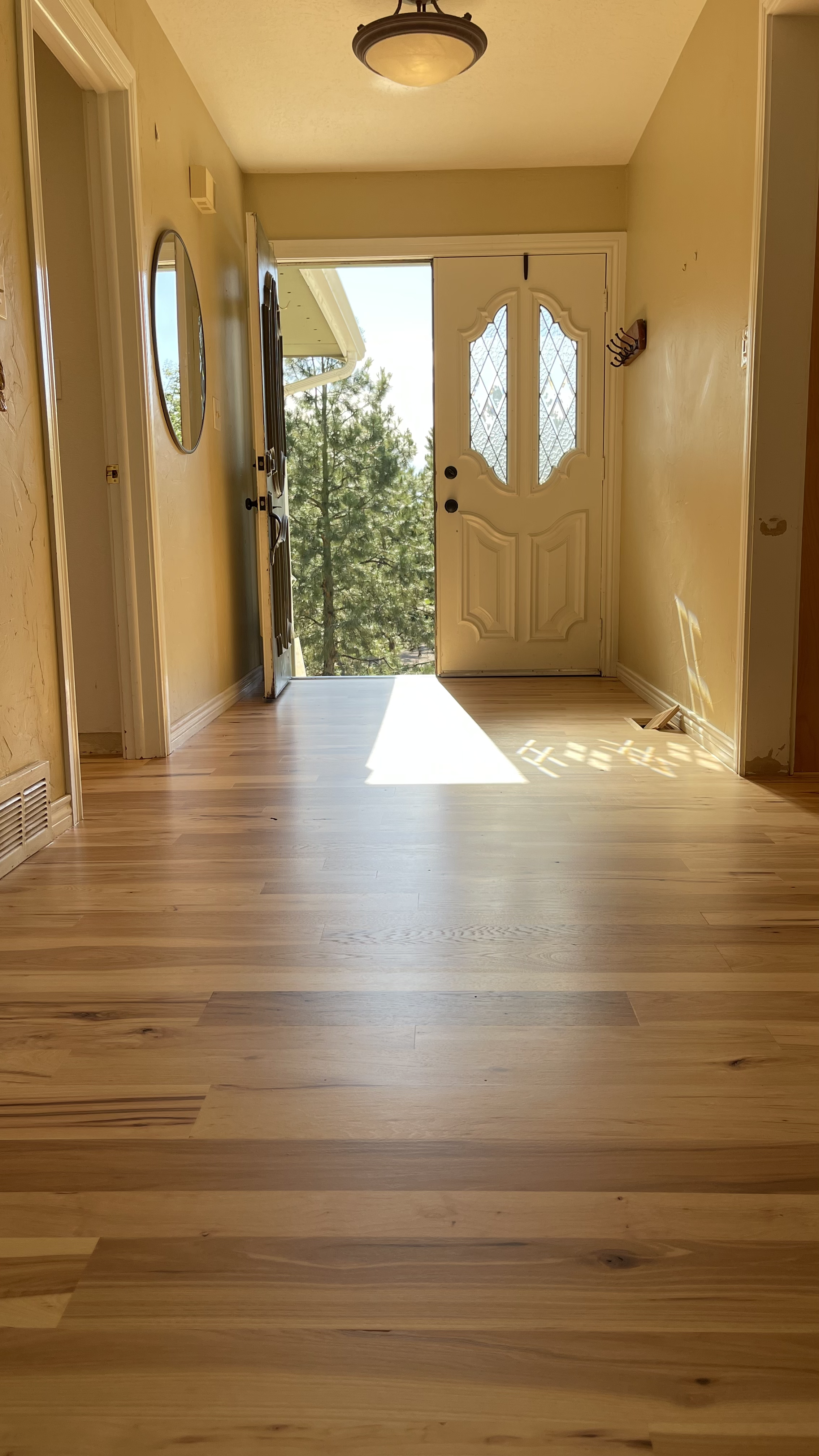 Hickory — Parker (clear coat)