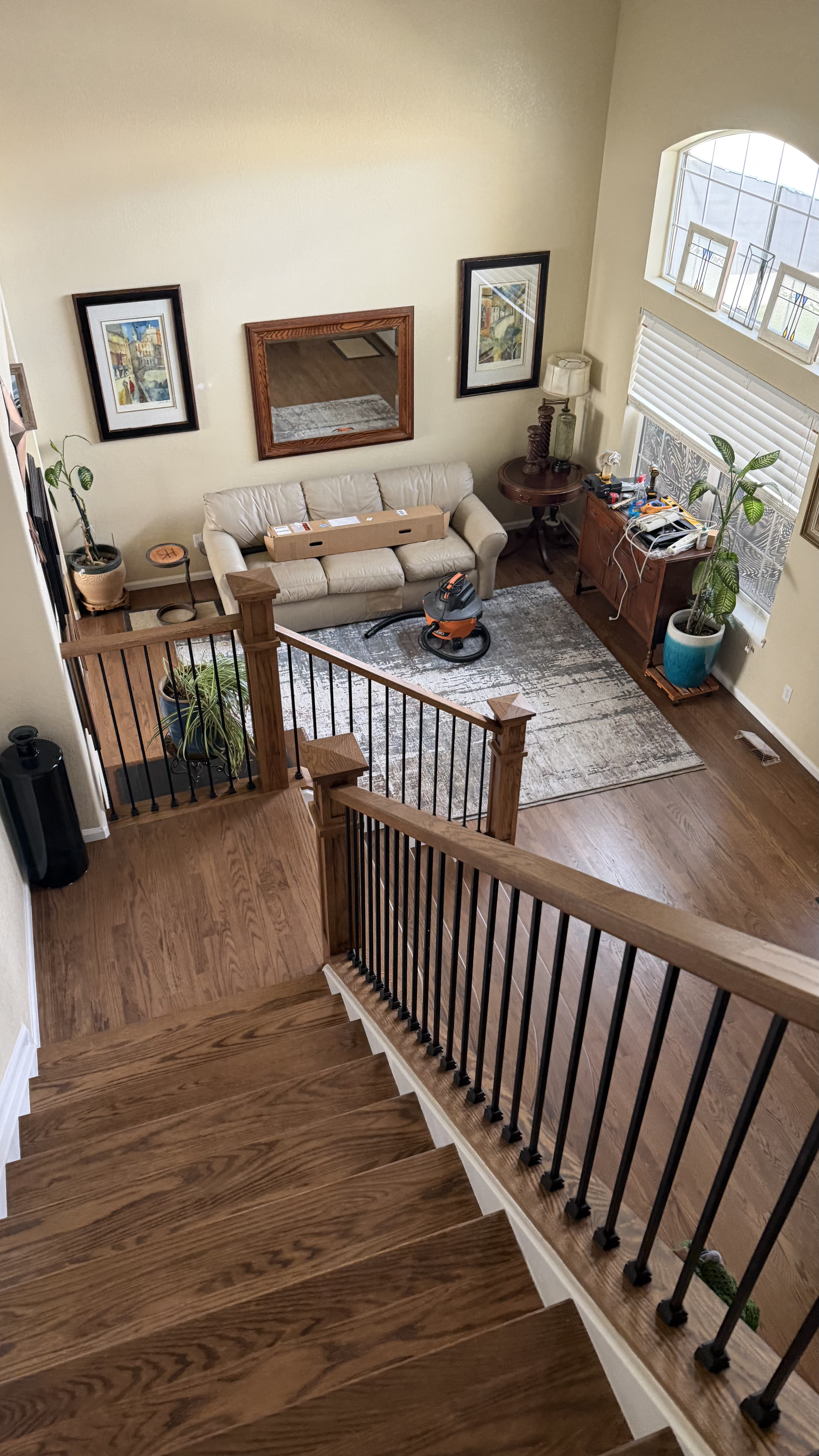 Red Oak — Aurora (Special Walnut)